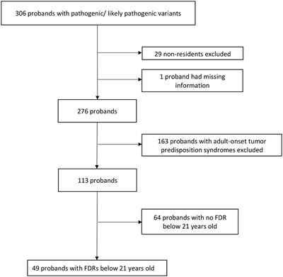 Predictive Testing for Tumor Predisposition Syndromes in Pediatric Relatives: An Asian Experience